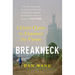 Breakneck: China's Quest to Engineer the Future