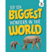 Top Ten Biggest Wonders in the World