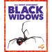 Black Widows