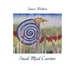 Snail Mail Cursive