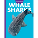 Curious about Whale Sharks