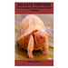 Sulcata Tortoise: The Complete Guide About Sulcata Tortoise