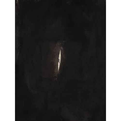 Anish Kapoor