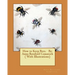 How to Keep Bees. By: Anna Botsford Comstock ( With Illustrations)