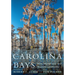 Carolina Bays: Wild, Mysterious, and Majestic Landforms