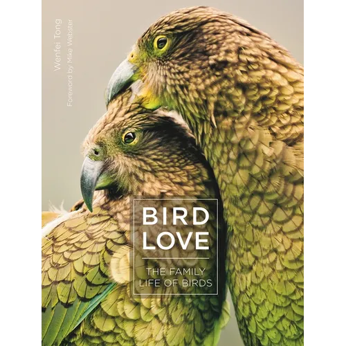 Bird Love: The Family Life of Birds