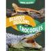 Bearded Dragons and Crocodiles: Reptile Relatives