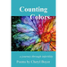 Counting Colors