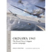 Okinawa 1945: The Royal Navy's Biggest Carrier Campaign