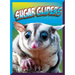 Sugar Gliders