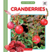 Cranberries