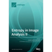 Entropy in Image Analysis II