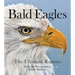Bald Eagles: The Ultimate Raptors