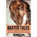 Baxter Tales: Personally Transformed By A Basset Hound Who Taught Me About Coping With Change