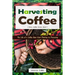 Harvesting Coffee: The Life of a Coffee Bean from Planting to Processing