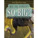 Why Are Ostriches So Big?: And Other Curious Bird Adaptations