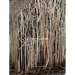Doris Salcedo