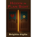 Hidden in Plain Sight: A Story of Love and Loss