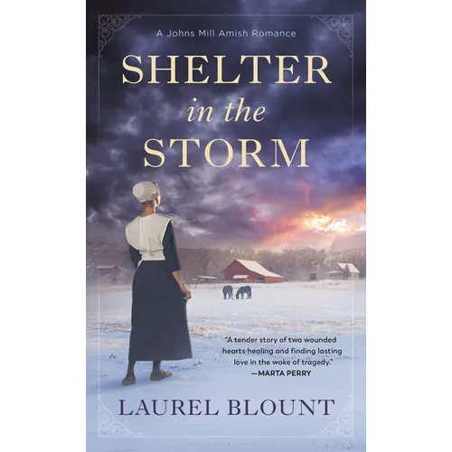 Shelter in the Storm