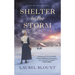 Shelter in the Storm