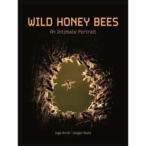 Wild Honey Bees: An Intimate Portrait