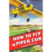How To Fly a Piper Cub