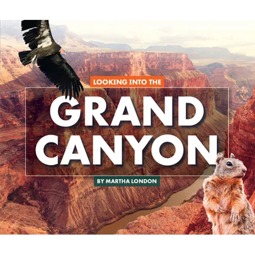 Looking Into the Grand Canyon