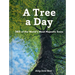 A Tree a Day
