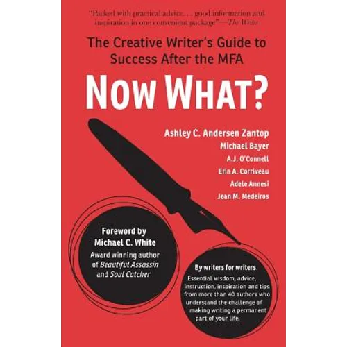 Now What?: The Creative Writer's Guide to Success After the MFA