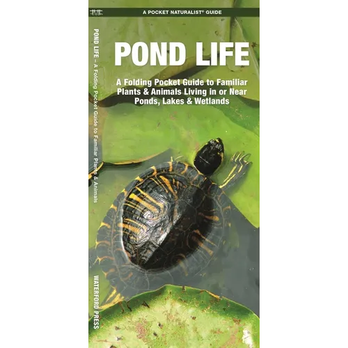 Pond Life: An Introduction to Familiar Plants and Animals Living in or Near Ponds, Lakes and Wetlands