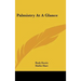 Palmistry At A Glance