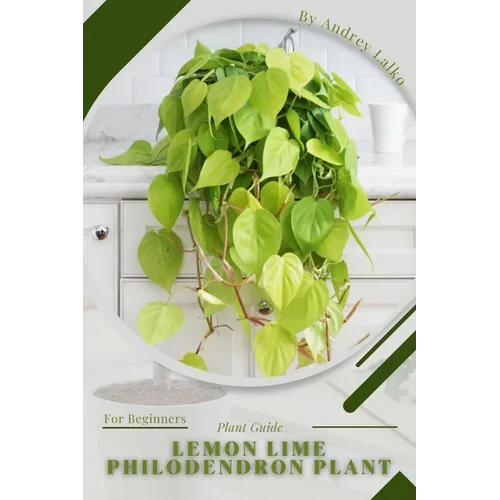 Lemon Lime Philodendron Plant: Plant Guide