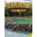 Beaver Dams