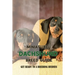 Miniature Dachshund Breed Guide: Get Ready To A Breeding Business: How Are Mini Dachshunds Bred