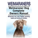 Weimaraners. Weimaraner Dog Complete Owners Manual. Weimaraner care, costs, feeding, grooming, health and training all included.