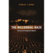 The Millennial Maze: Sorting Out Evangelical Options