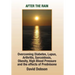 After the Rain: Overcoming Diabetes, Lupus, Arthritis, Sarcoidosis, Prednisone, Obesity