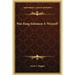 Was King Solomon A Wizard?