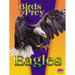 Eagles