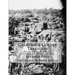 California Golden Treasures: Placer Gold Mining in California in the 1850's