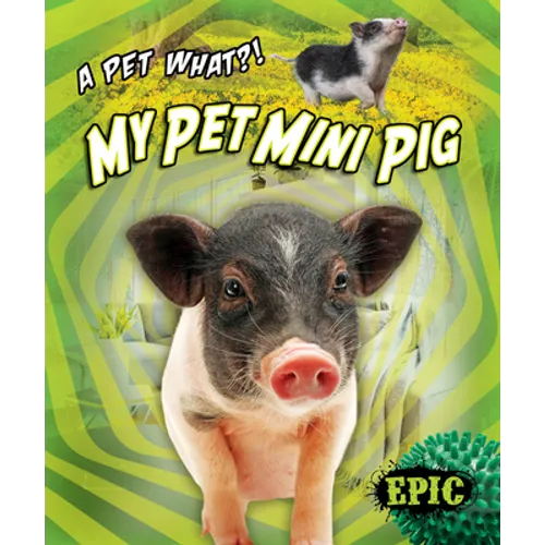My Pet Mini Pig