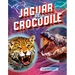 Jaguar vs. Crocodile