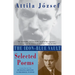 The Iron-Blue Vault: Selected Poems