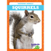 Squirrels