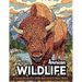 American Wildlife: Coloring Book For Adults Beautiful Wildlife Scenes With Forest Animals, Fauna, Birds And More!