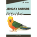 Jenday Conure: Pet bird guide