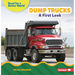 Dump Trucks: A First Look