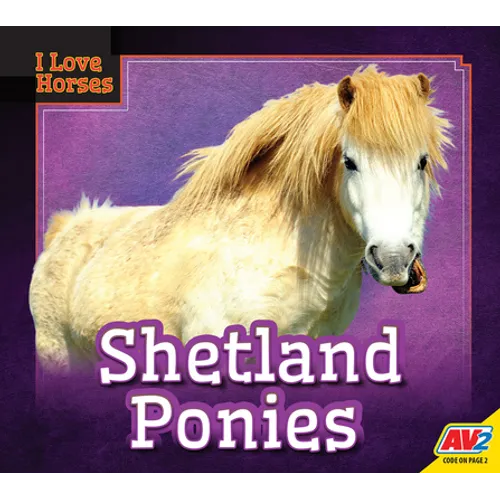 Shetland Ponies
