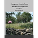 Lampasas County, Texas: Timeline of Early Events