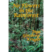 No Flowers in the Rainforest: A GR Press Book